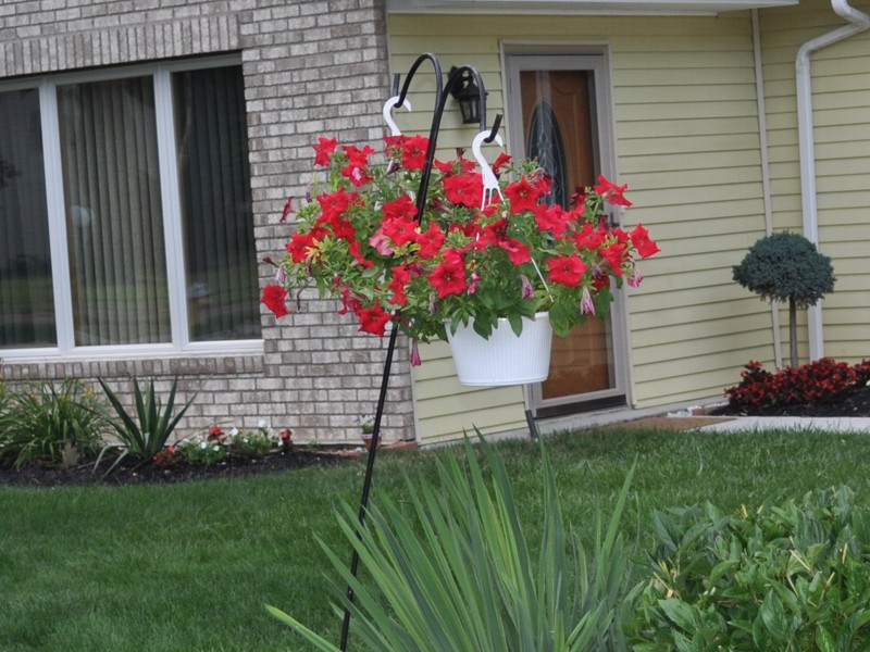 Adult Care Home Avon Lake Adult Care Home Avon Lake