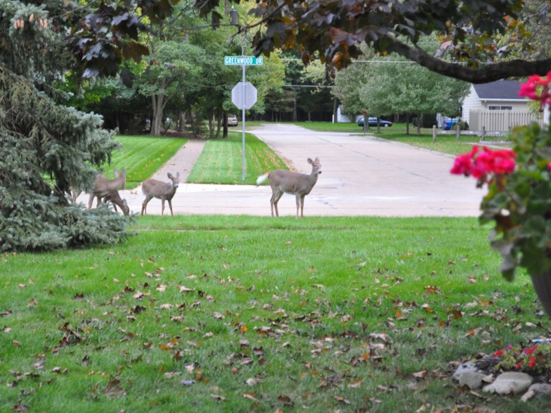 Adult Care Home Ohio