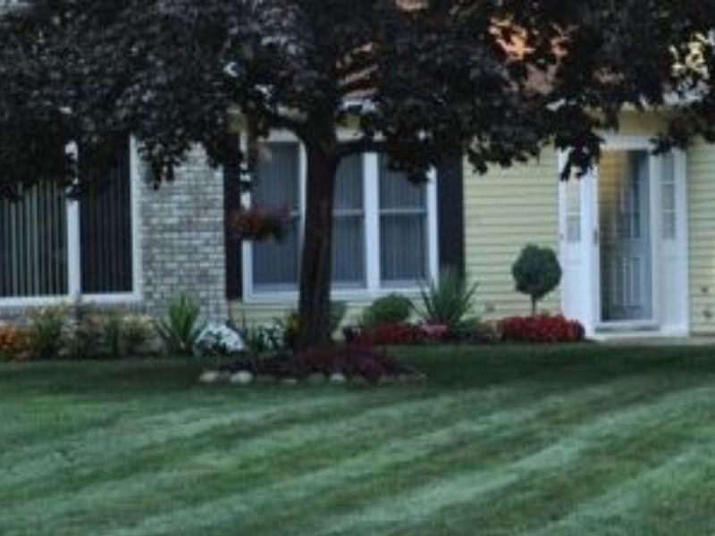 Avon Lake Family Care Garden
